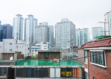 이슈브리프 이미지